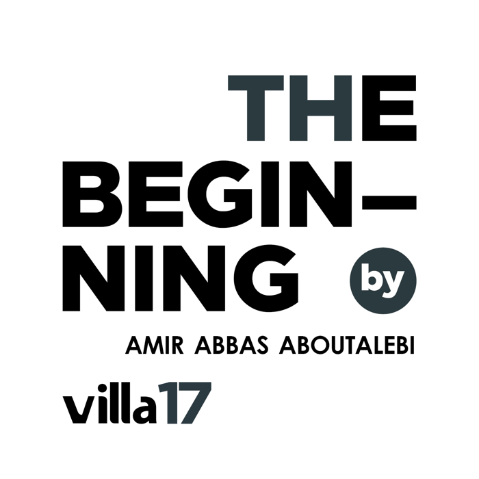 The Beginning 17