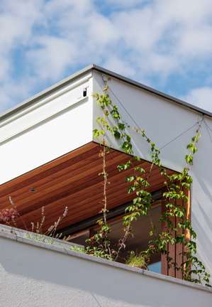 pocket size villa 