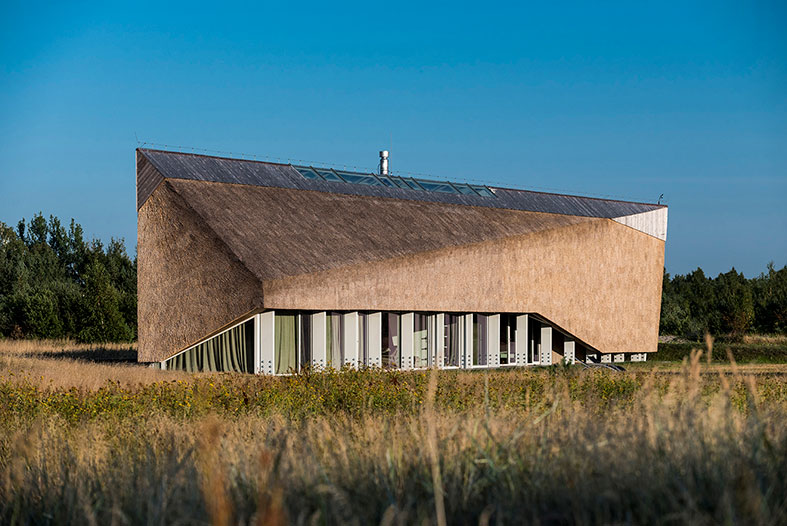 The Dune House