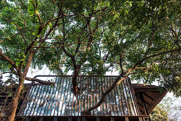 Tree Villa at Forest Hills