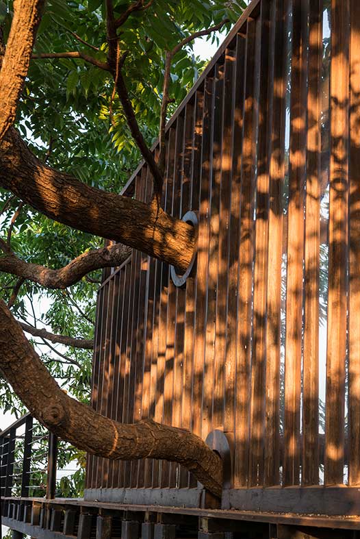 Tree Villa at Forest Hills