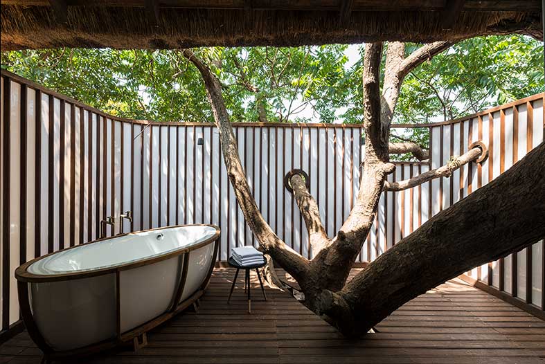 Tree Villa at Forest Hills