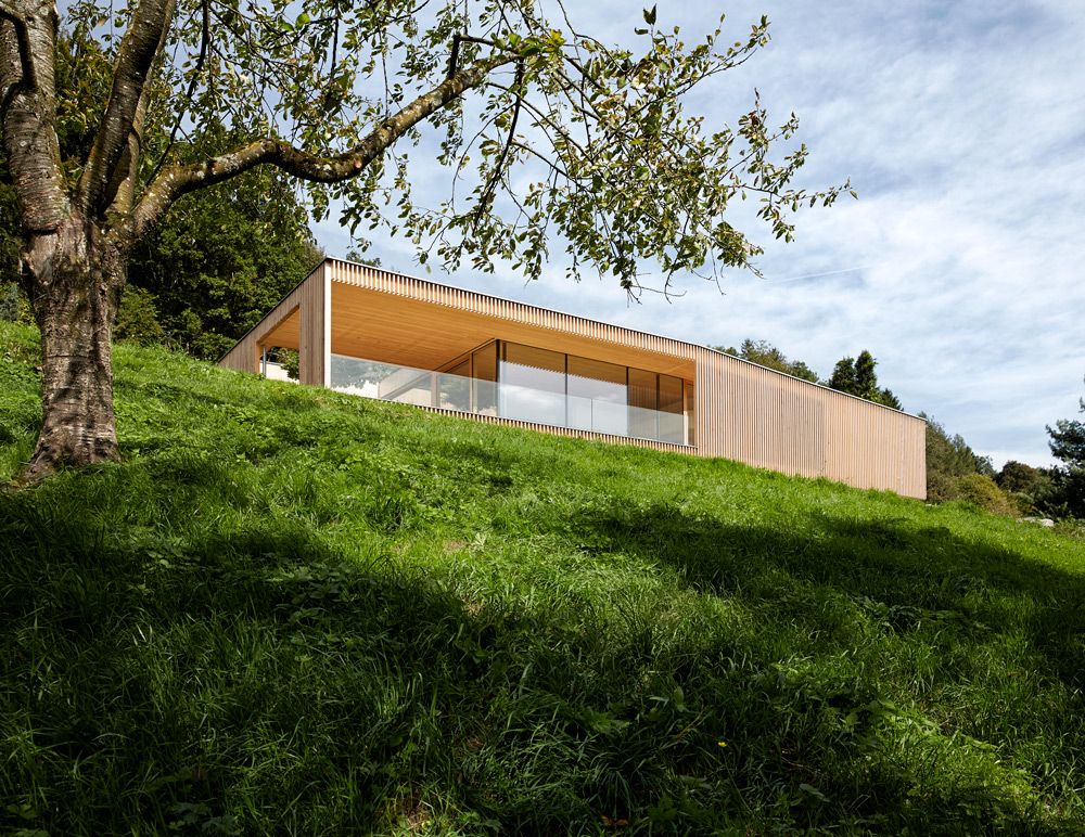 Villa Fels
