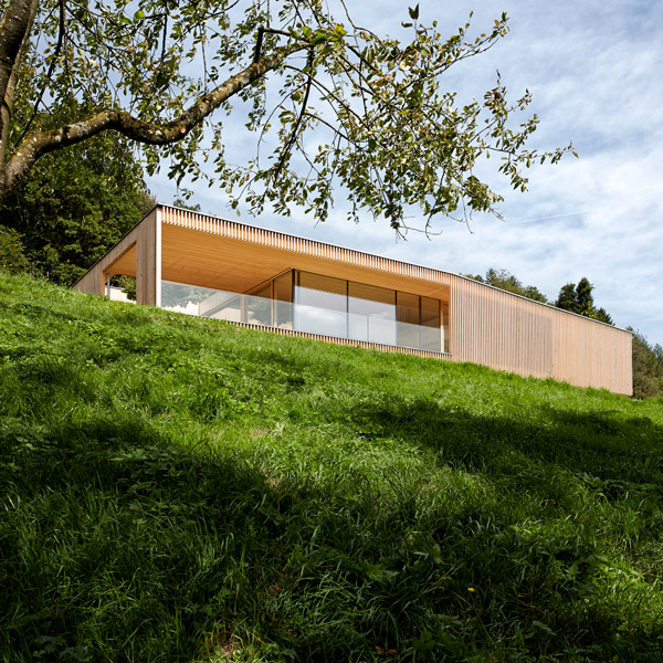 Villa Fels